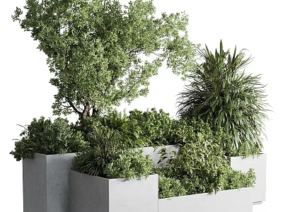 Various Green Plants Growing In Gray Planters With Different Heights Trees And Shrubs 3d model