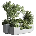 Various Green Plants Growing In Gray Planters With Different Heights Trees And Shrubs