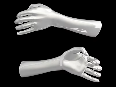 Decorative Ornament Set With Silver Hand Shaped Pieces for Home 3d model