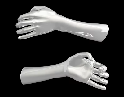 Decorative Ornament Set With Silver Hand Shaped Pieces for Home 3d model
