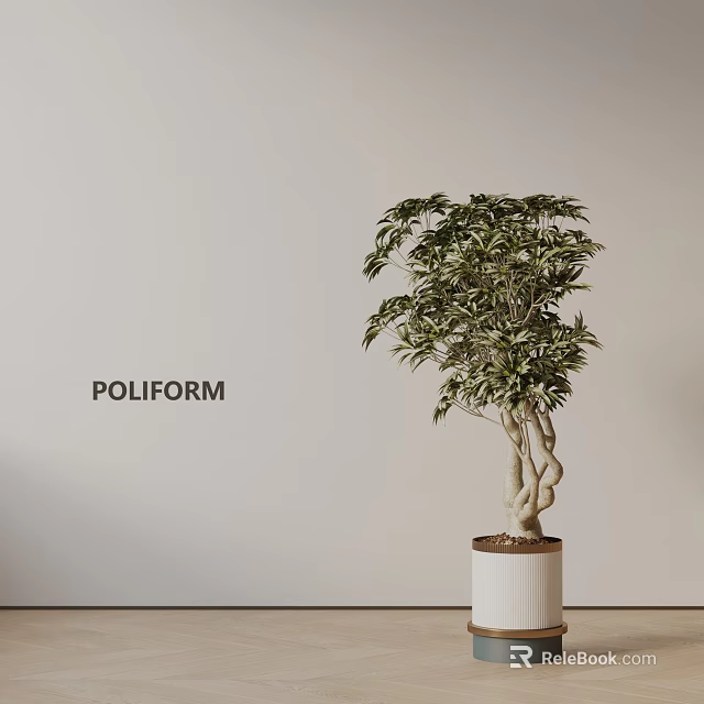 Lush Bonsai Tree With Twisted Trunk In White Cylindrical Pot Against Light Colored Wall 3d model 