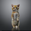 Orange And White Standing Cat Figurine With Big Eyes And Detailed Fur On Black Surface
