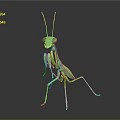 Modern Mantis Cartoon Mantis Animation Mantis Knife 3d model