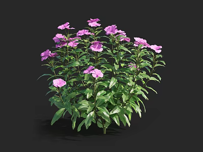 Beautiful Purple Flowers With Lush Green Leaves In Garden Plant Arrangement 3d model