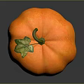 Orange Textured Pumpkin With Green Leaf And Vine On Dark Background