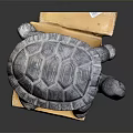 Turtle Shaped Decorative Ornament Set With Textured Shell And Wooden Base 3d model