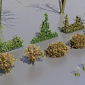 Diverse Plant Combination Featuring Trees Shrubs Grasses And Various Foliage Varieties