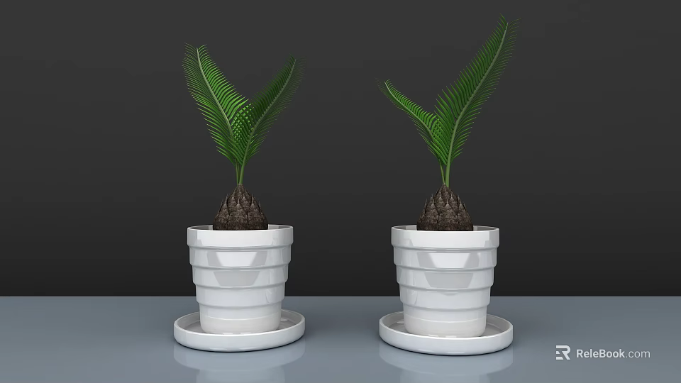 Lush Bonsai Potted Plants In Geometric Textured White Pots With Saucers 3d model 