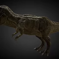 Realistic T Rex Dinosaur Model With Detailed Skin And Dynamic Pose 3d model