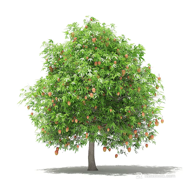 Lush Arbor Tree With Green Leaves And Ripe Fruits Hanging Down 3d model 