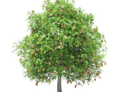 Lush Arbor Tree With Green Leaves And Ripe Fruits Hanging Down 3d model