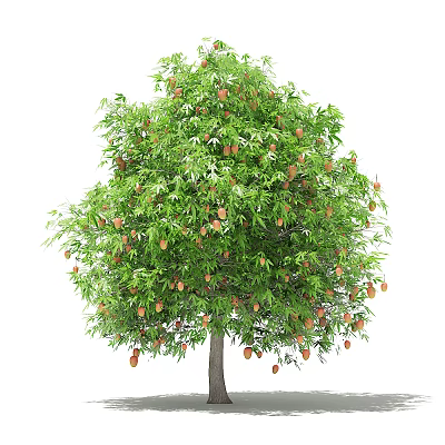 fruit tree 3d model fruit tree 3d model
