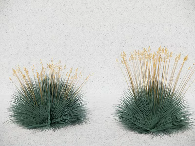 Two Clumps of Green Grass with Tall Stems and Yellow Flowers 3d model