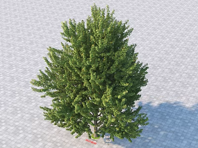 Lush Green Tree With Vibrant Foliage Growing On Paved Brick Ground Outdoor 3d model