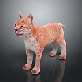 Realistic Orange And White Lynx Standing On Dark Background With Detailed Fur