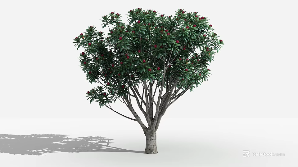 Lush Arbor Tree with Dense Green Leaves and Red Flowers Casting Natural Shadow 3d model 