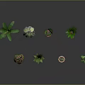 Assorted Potted Plants with Different Leaf Shapes Colors and Colorful Pots