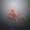 grasshopper insect cartoon locust animation locust anime locust anime game character 3d model
