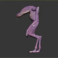 Purple Fantasy Creature Character With Slender Limbs And Grotesque Biological Features