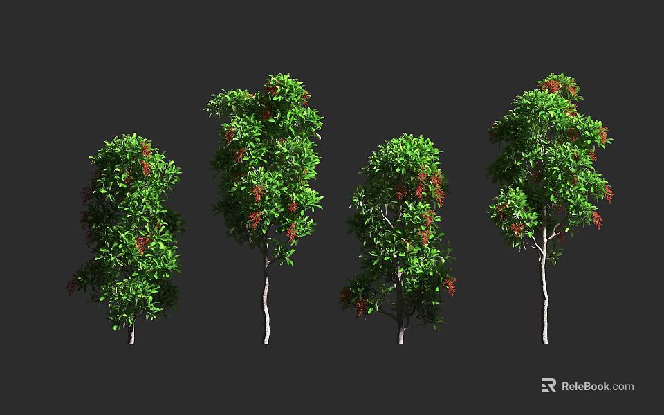 Different Arbor Trees With Green Leaves And Red Fruits On Black Background 3d model 