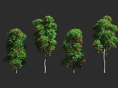 Different Arbor Trees With Green Leaves And Red Fruits On Black Background 3d model