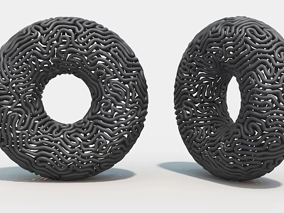 Two Black Circular Hollow Art Installations With Intricate Textured Patterns 3d model