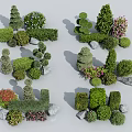 Various Shaped Colorful Garden Shrubs With Stones For Landscaping Design