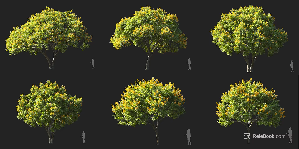 Tall Arbor With Green Leaves And Yellow Flowers Beside Human Silhouette 3d model 