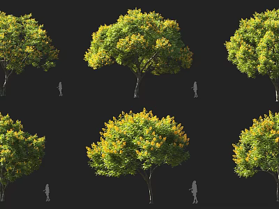 Tall Arbor With Green Leaves And Yellow Flowers Beside Human Silhouette 3d model