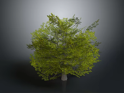 Realistic 3D Tree Model With Lush Green Foliage And Brown Trunk 3d model