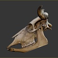 Beast Head Antelope Skull Sheep Skull Decorations Animal Bone PBR PBR Item Cow Skull 3d model