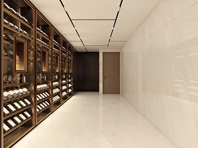 Modern Wine Cellar Interior Design With Wooden Racks And Displayed Wine Bottles 3d model