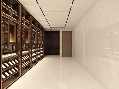 Modern villa cellar in basement 3d model