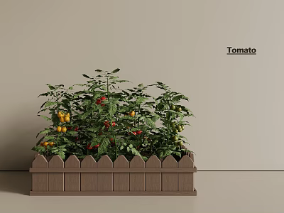 Tomato Plants Growing In Wooden Planter Box With Green Leaves And Colorful Fruits 3d model