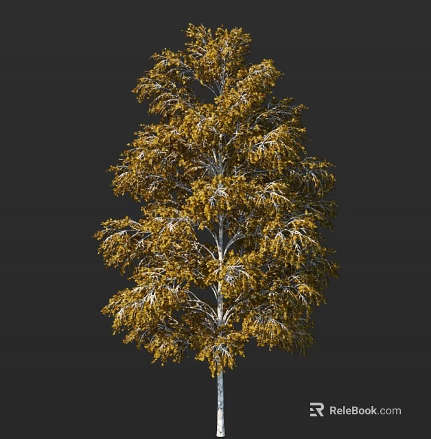 Golden Leaf Arbor With White Trunk And Graceful Canopy In Natural Landscape 3d model 