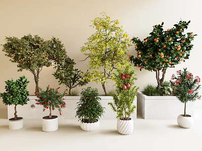 Various Potted Fruit Trees And Green Plants In White Pots With Beige Background 3d model