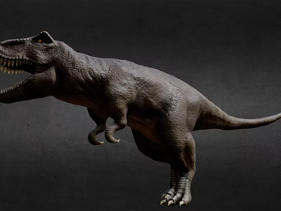 Realistic Standing Tyrannosaurus Rex Dinosaur Model With Open Mouth Dark Background 3d model