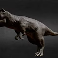 Realistic Standing Tyrannosaurus Rex Dinosaur Model With Open Mouth Dark Background
