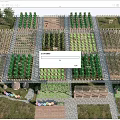 Rural Landscape With Organized Grid Pattern Vegetable Gardens Wooden Fences Stone Pathways And Surrounding Trees