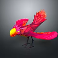 Vibrant Red And Pink Bird With Yellow Beak And Spread Wings On Gray Background