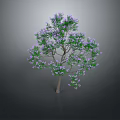 Beautiful Tree With Green Leaves And Purple Flowers In Natural Environment