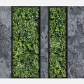 Indoor Living Vertical Garden Wall with Lush Green Plants and Decorative Design