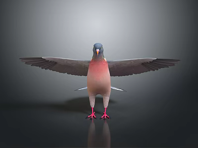 Pigeon with spread grey wings pink chest and red feet on black surface with reflection 3d model