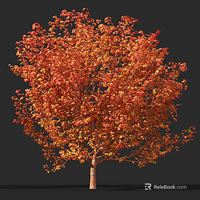 Autumn Tree With Vibrant Red Orange Leaves Lush Foliage And Tall Trunk 3d model 