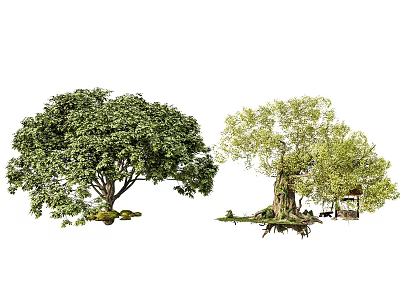 Arbor Trees With Lush Green Foliage And Natural Garden Surroundings 3d model