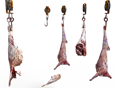 Fresh Raw Meat Hanging On Hooks With Various Cuts 3d model