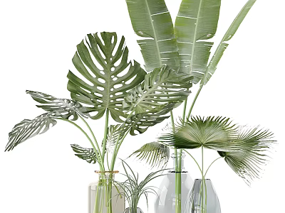 Transparent Glass Vases with Monstera Banana and Palm Leaves for Decorative Green Plants 3d model