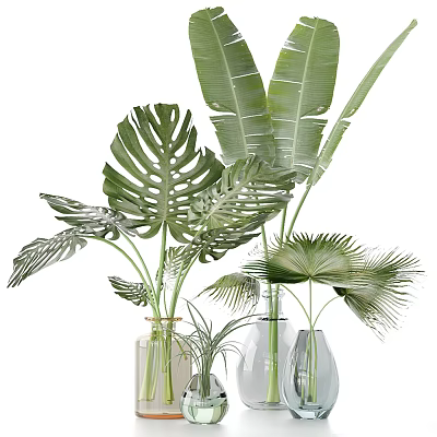 Transparent Glass Vases with Monstera Banana and Palm Leaves for Decorative Green Plants 3d model