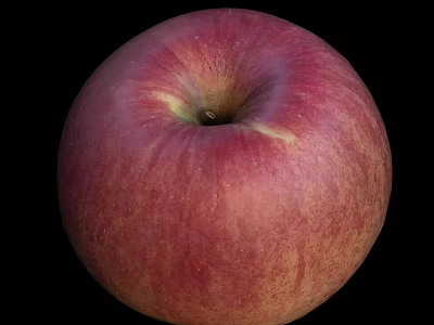 apple fruit 3d model