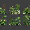 Garden Plant Combinations With Tropical Foliage Mixed Leaves And Small Stones